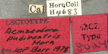 Media type: image;   Entomology 8024 Aspect: labels